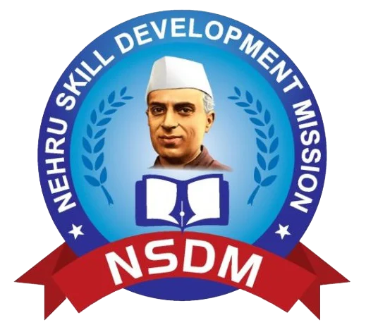NSDM logo
